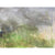 Spring, Triptych