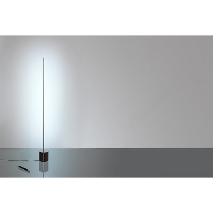 Light Stick T