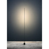 Light Stick F